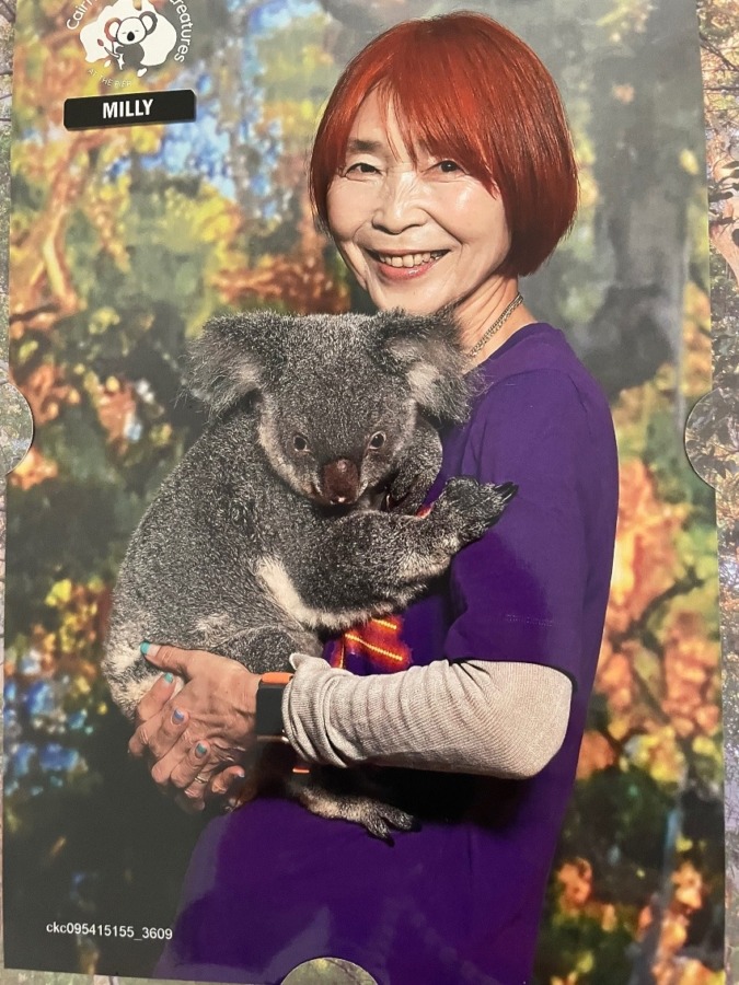 コアラちゃんを抱っこしてきました、