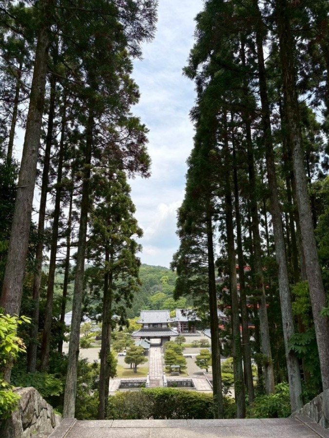 日本が大好き♥️