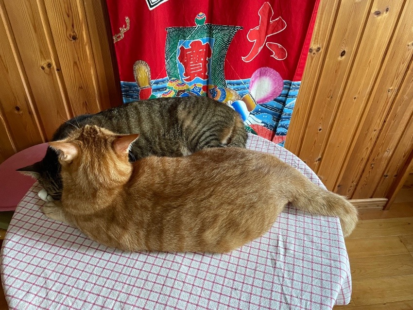 しあわせセラピー