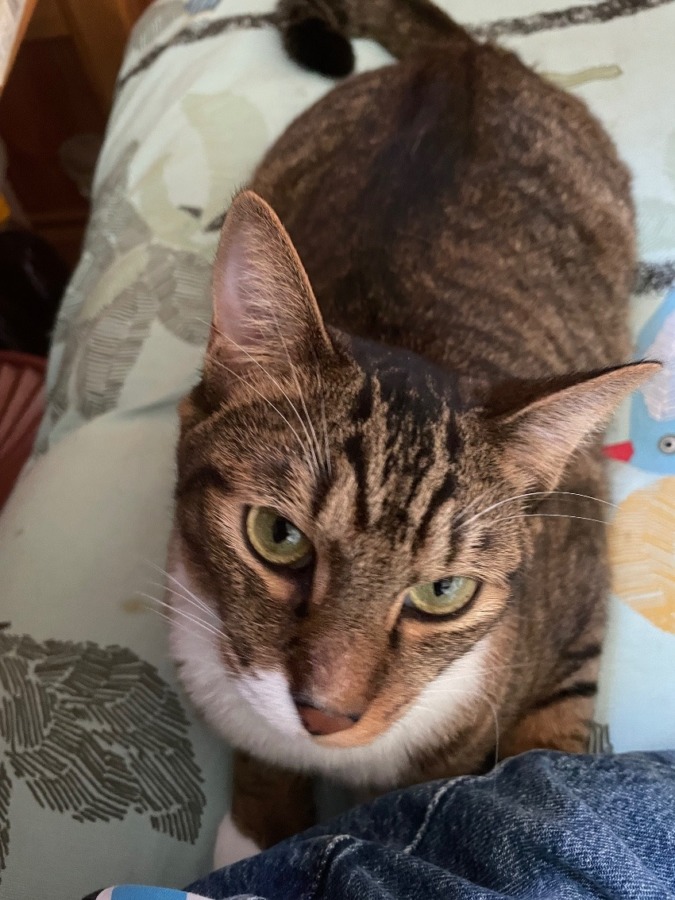 しあわせセラピー