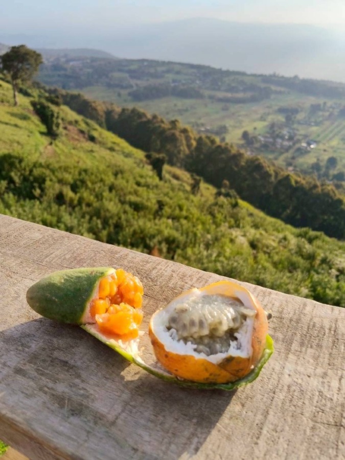 しあわせセラピー