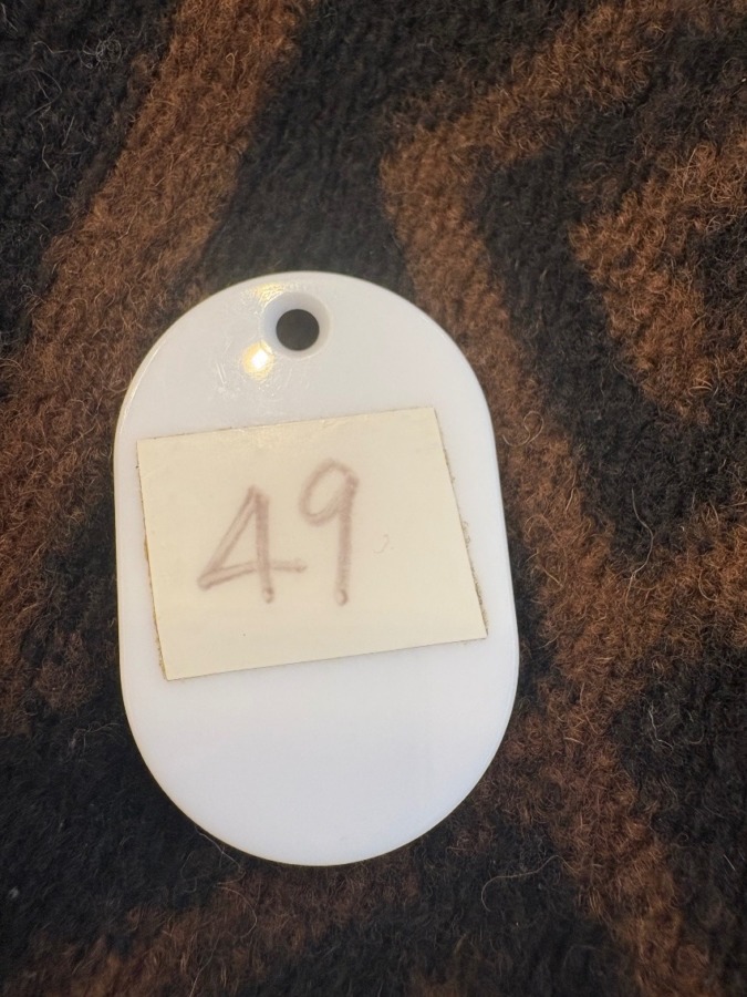 ちっちゃい幸せ(*˘︶˘*).｡.:*♡ついてる‼️