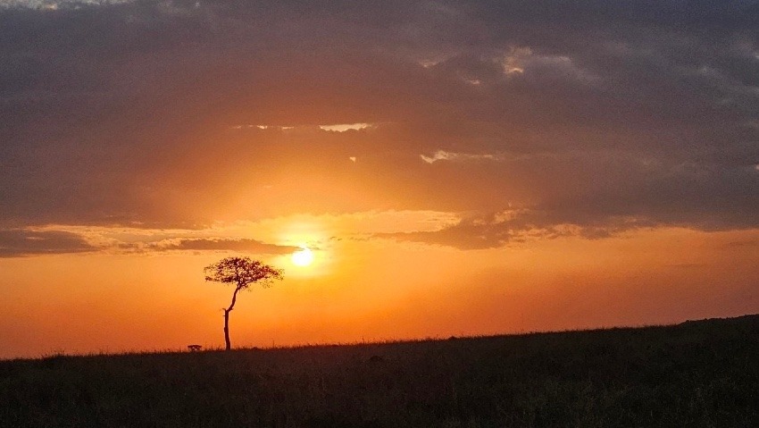 しあわせセラピー