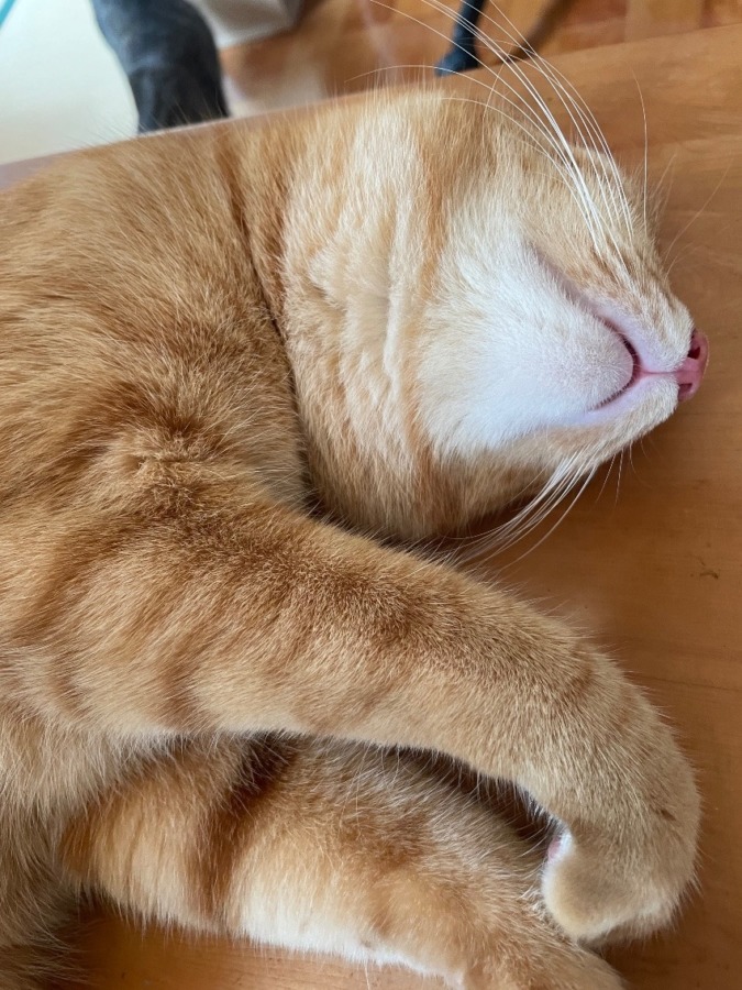 しあわせセラピー