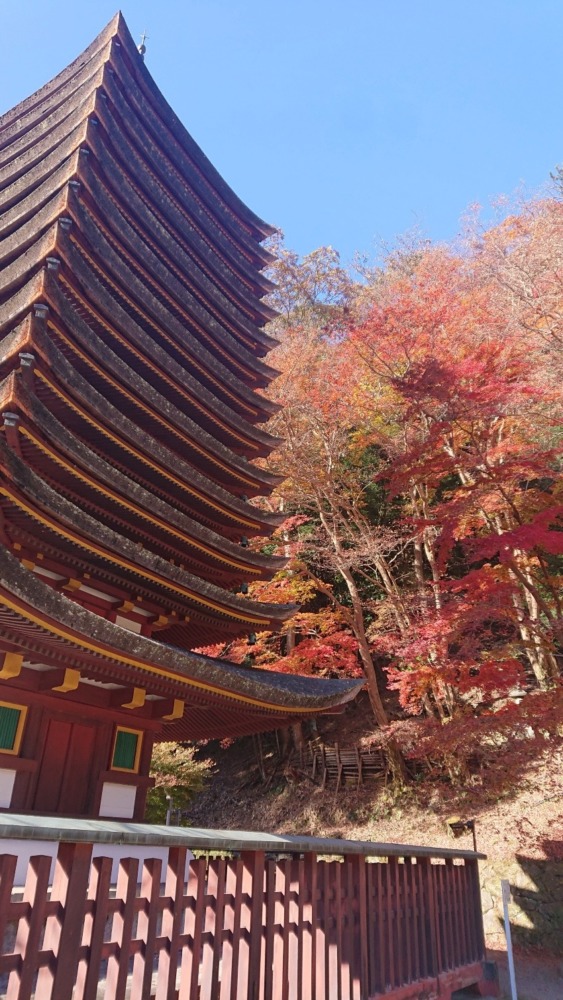 関西の日光✨談山神社⛩️