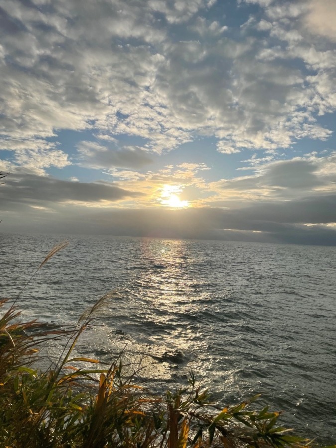 しあわせセラピー