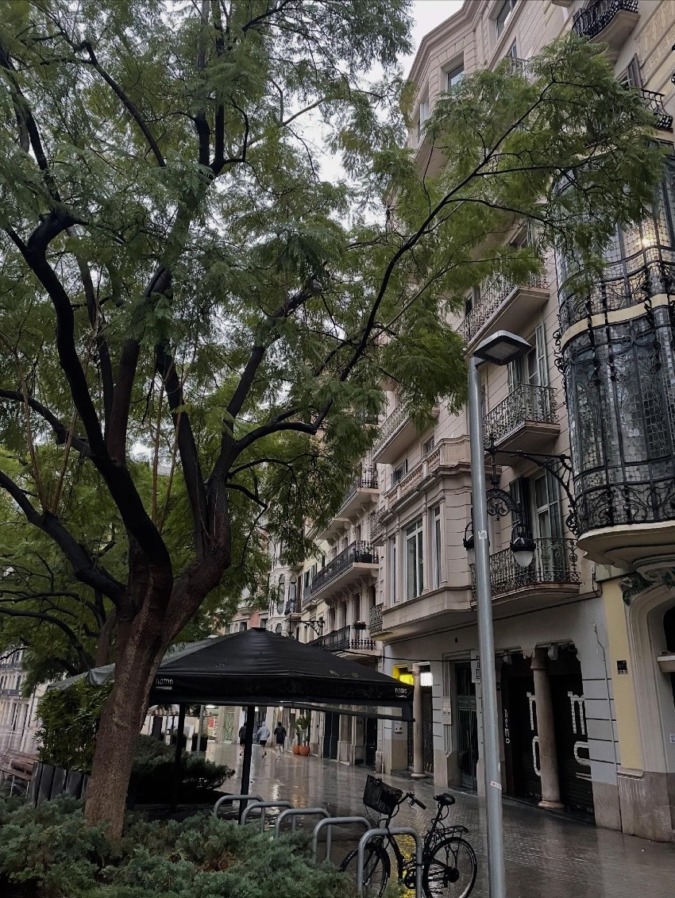 しあわせセラピー