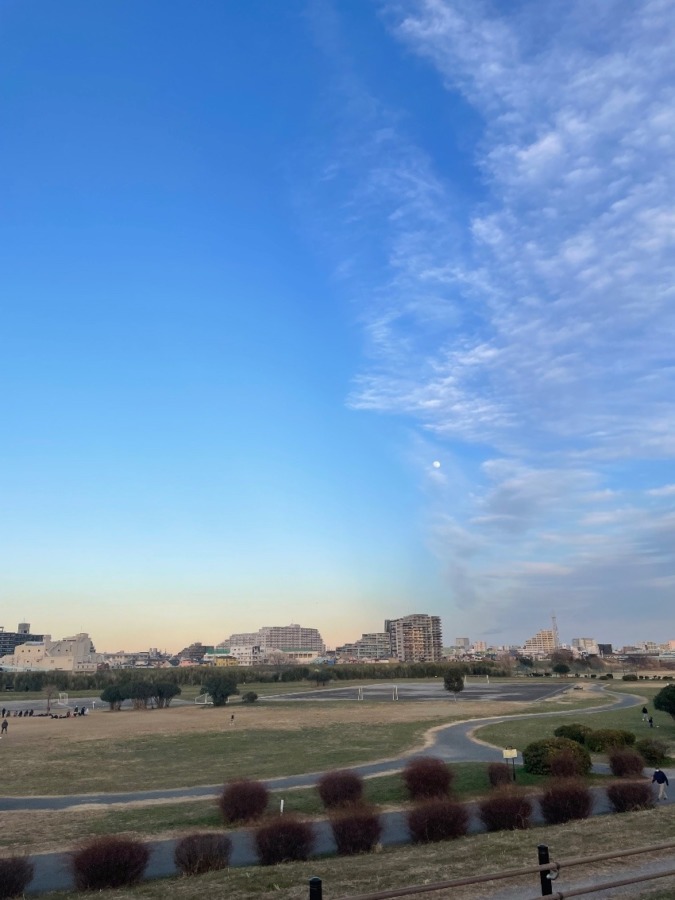 しあわせセラピー