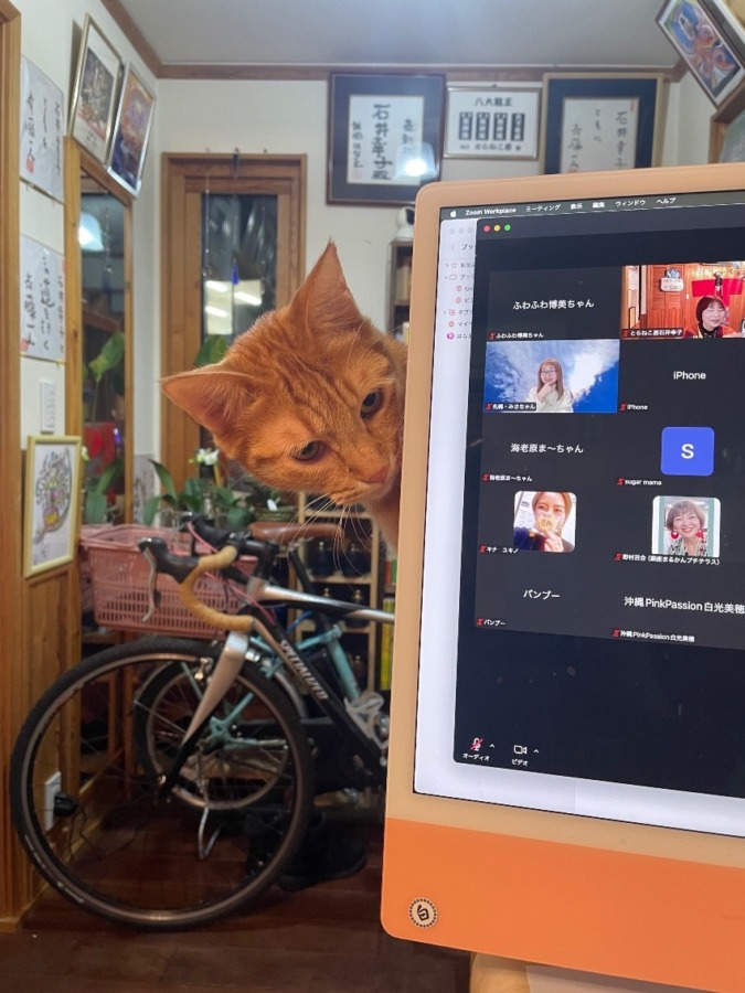 しあわせセラピー