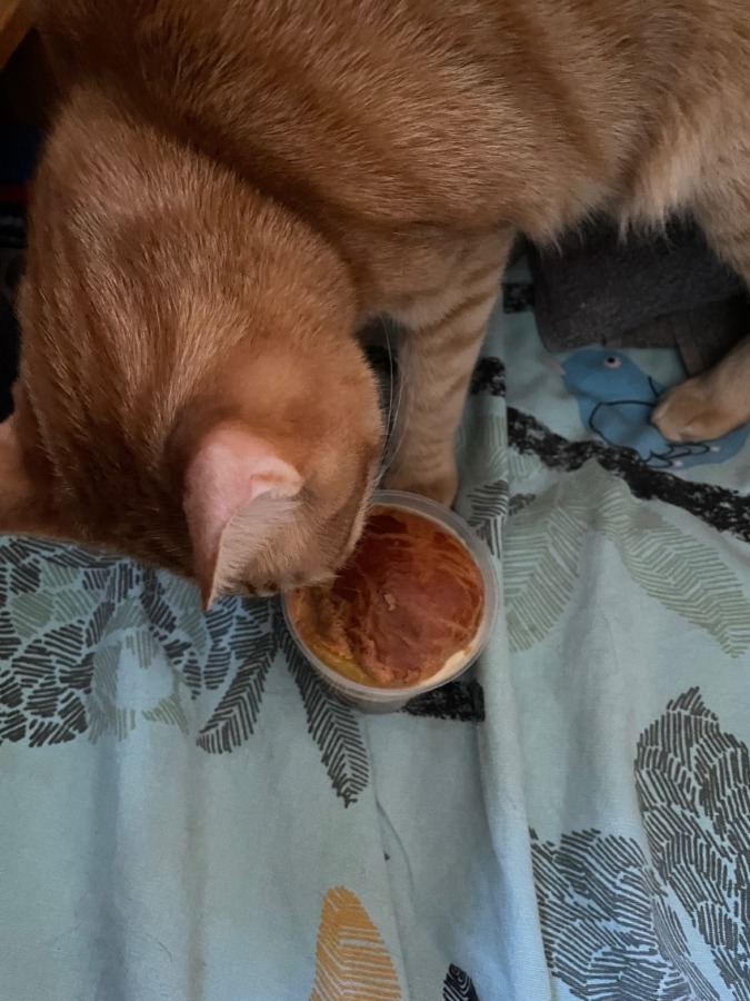 しあわせセラピー