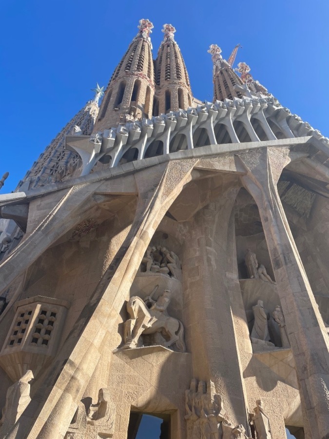 しあわせセラピー