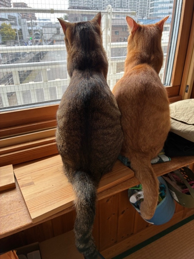 しあわせセラピー