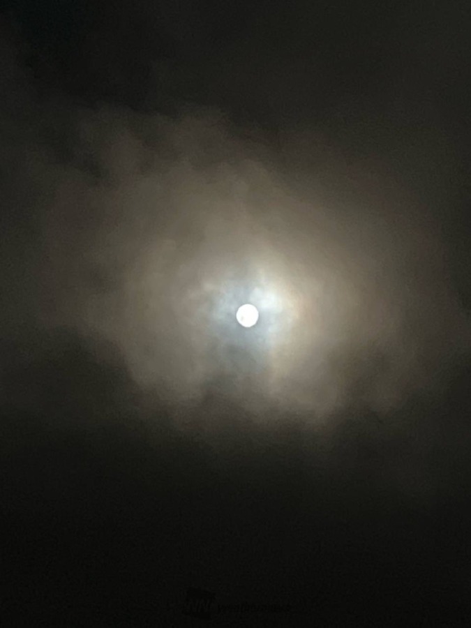 ピンクムーン𓏸𓈒💗𓈒𓏸の影響か？笑笑