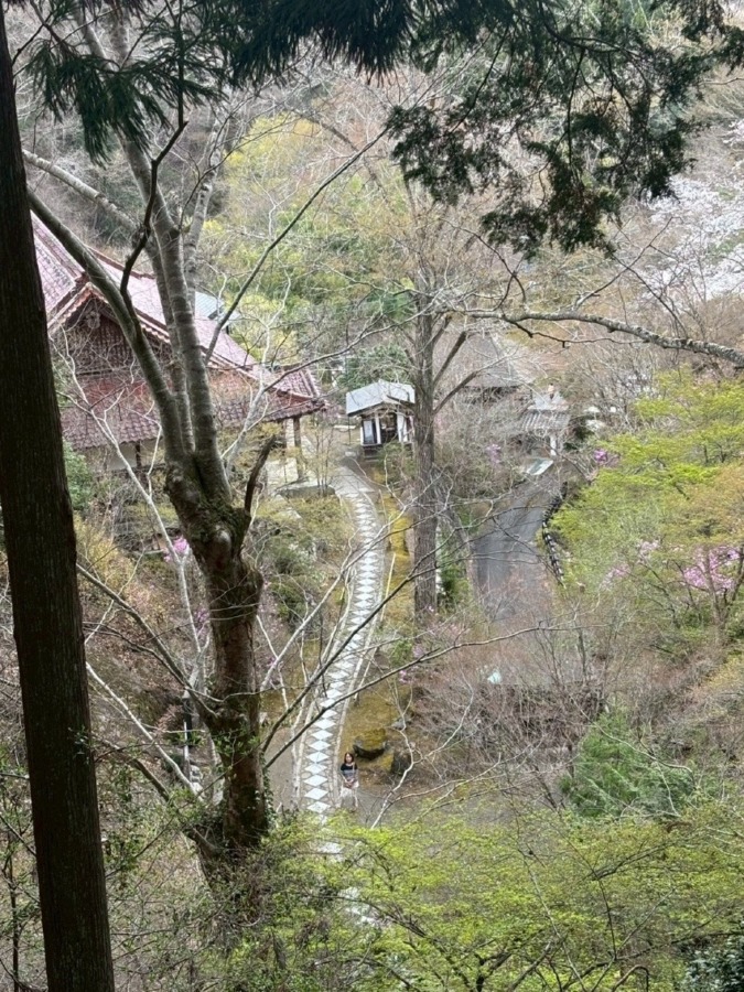 しあわせセラピー