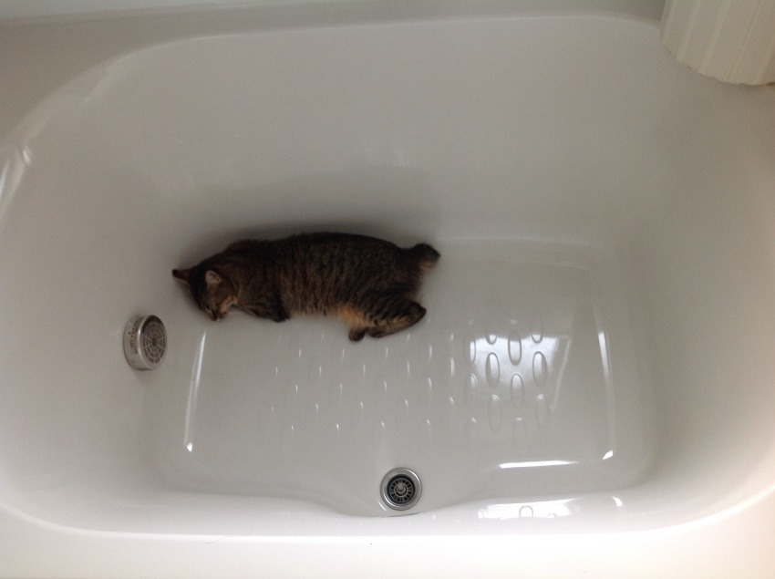 しあわせセラピー