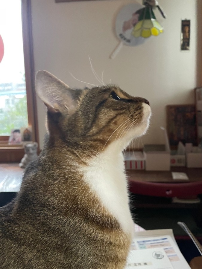 しあわせセラピー